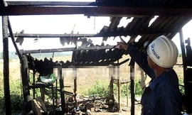 Mất gà đá, chồng đổ xăng thiêu sống vợ