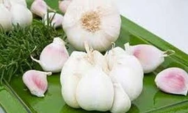 Tỏi - Vị thuốc kỳ diệu