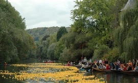 Thú vị cuộc đua ‘vịt cao su’