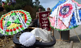 Tổ chức đám tang cho … trâu