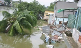 Đánh cược với thủy thần