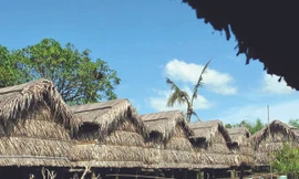 Cà phê chòi mọc lên như nấm ở Cà Mau Ảnh: T.H