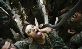 Lính Mỹ uống máu hổ mang