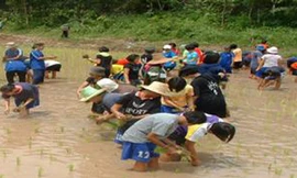 Dạy giới trẻ học làm nông