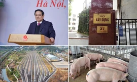 Lý do đề xuất miễn trách nhiệm người đứng đầu khi làm 'siêu dự án'