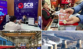 Tin mới về Ngân hàng SCB; lỗ nặng vì mua vàng lấy vía Thần tài 
