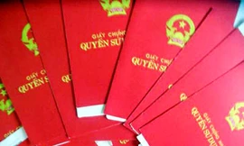 “Nóng” tình trạng giả báo mất sổ đỏ