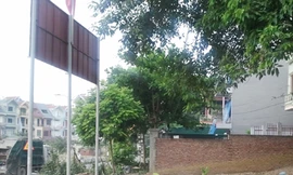 Bất thường cấp đất cho con 'quan'