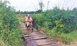 Một cầu tạm bắt qua sông Krông Năng xuống cấp