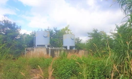 Cỏ phủ quanh bồn chứa nước