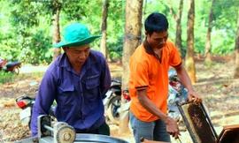 Lý thú đưa ong 'săn' hoa cà phê