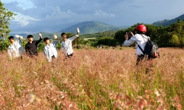 Những chàng trai lập hội check in.