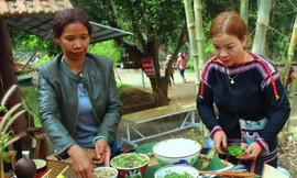 Độc lạ món kiến vàng dành cho khách quý