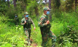 Tuần tra trong rừng