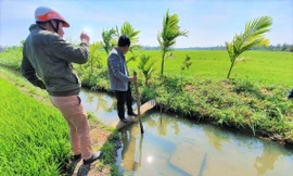 Kênh thủy lợi thấp hơn mặt ruộng