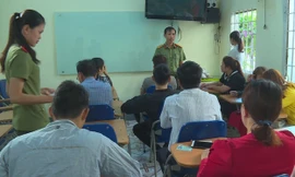 Trung tâm ngoại ngữ, tin học Tân Việt Mỹ