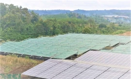 Tấm quang năng, bị tháo gỡ sau khi lắp đặt chưa đầy 2 tháng