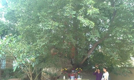 Làm đám cưới cho...hai hồn ma