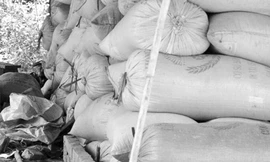 Ngân hàng cho vay thu mua tạm trữ lúa gạo