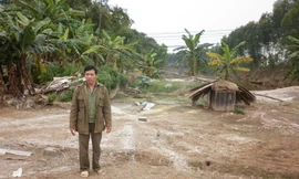 Ông Nguyễn Trọng Túc đứng bần thần bên lán vịt đã tháo dỡ sau khi tiêu hủy Ảnh: Phạm Anh