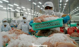 Thách thức thuế Mỹ là ‘phép thử’ quan trọng với doanh nghiệp