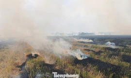 Sản xuất lúa phát thải thấp: Không đốt rơm, rạ gây ô nhiễm