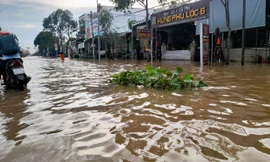 Cần Thơ: Chống ngập không nhất quán, nâng đường rồi nhà phải nâng theo