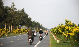 Bộ GTVT đề nghị hoàn thiện đề xuất mở rộng Quốc lộ 61C