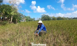 Biến đổi khí hậu diễn ra nhanh và nghiêm trọng hơn mọi dự báo