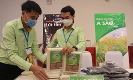 Lùm xùm nghi vấn 'đánh tráo' gạo ngon nhất: Chủ tịch Hiệp hội lương thực lên tiếng 