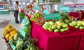 Nhiều loại rau quả rớt giá, ngành hàng này vẫn tăng trưởng xuất khẩu 2 con số