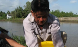 Kiến nghị giảm tiền điện 6 tháng cho người nuôi tôm, bỏ quy định giờ ra đường