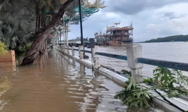 Dự báo mùa mưa đến miền Tây sớm, triều cường có thể lập kỷ lục mới