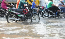 Dự báo triều cường ở Cần Thơ vượt báo động III vào dịp Tết Trung thu