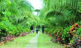 'Đột nhập' khu du lịch mới nổi xanh mướt, đầy hoa tươi trái ngọt 