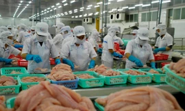 Chế biến cá tra xuất khẩu. Ảnh: CK