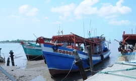 Chủ tịch Trà Vinh quyết loạt 'biện pháp mạnh' chống khai thác hải sản bất hợp pháp