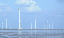 Hé lộ doanh nghiệp muốn làm dự án điện gió 4,5 tỷ USD ở Trà Vinh