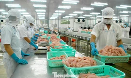 Doanh nghiệp nêu loạt kiến nghị quan trọng trước áp lực thuế Mỹ 