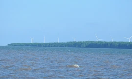 Sắp đấu thầu 5 dự án điện gió hơn 13.800 tỷ ở Trà Vinh 