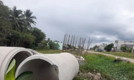 Yêu cầu Kho bạc Nhà nước Cần Thơ báo cáo kết quả giải ngân trước 16h30 hằng ngày