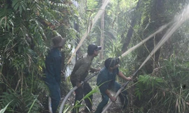 Cao điểm mùa khô, các tỉnh miền Tây căng mình phòng cháy rừng