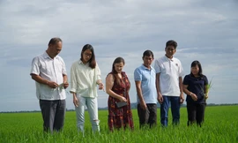 Lần đầu nông dân được thưởng tiền khi trồng lúa giảm phát thải
