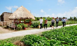 Tỉnh Trà Vinh đã thành nông thôn mới