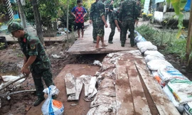 Triều cường gây thiệt hại hoa màu, ảnh hưởng hàng trăm hộ dân những ngày Tết