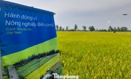 ĐBSCL 'mong manh' trước biến đổi khí hậu: Luật đã có, cần hành động khẩn cấp