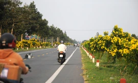 3.888 tỷ đồng mở rộng quốc lộ nối Cần Thơ - Hậu Giang