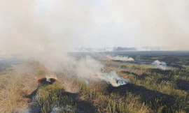 Trời mù mịt, giao thông ảnh hưởng nghiêm trọng vì khói rơm rạ