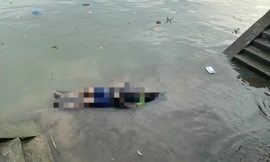 Phát hiện thi thể nam giới trên nhánh sông Cổ Chiên