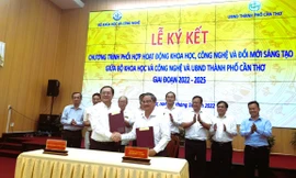 Cần Thơ 'thúc' tiến độ thành lập Khu công nghệ cao